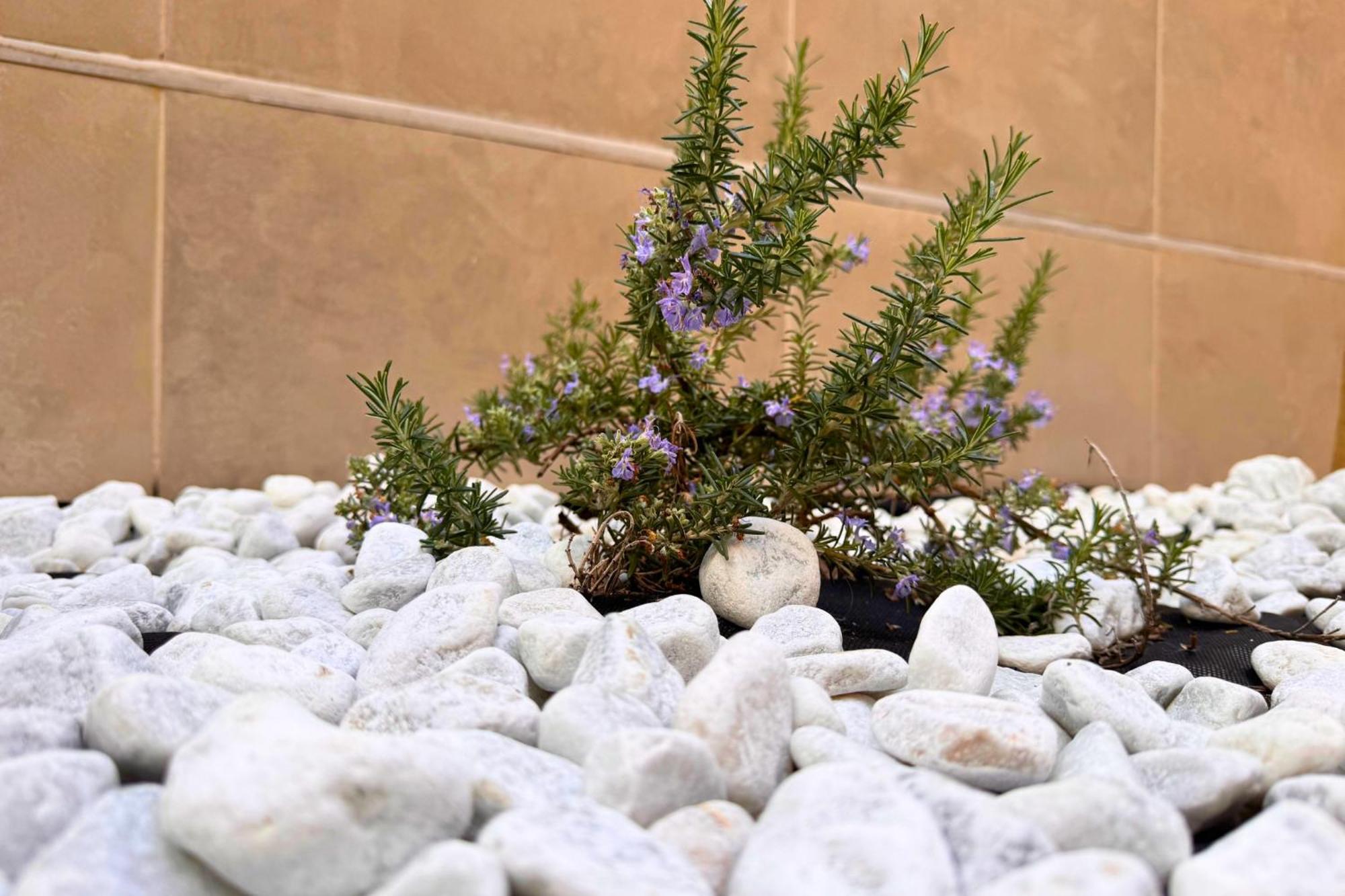 Garden House Apartment Naples